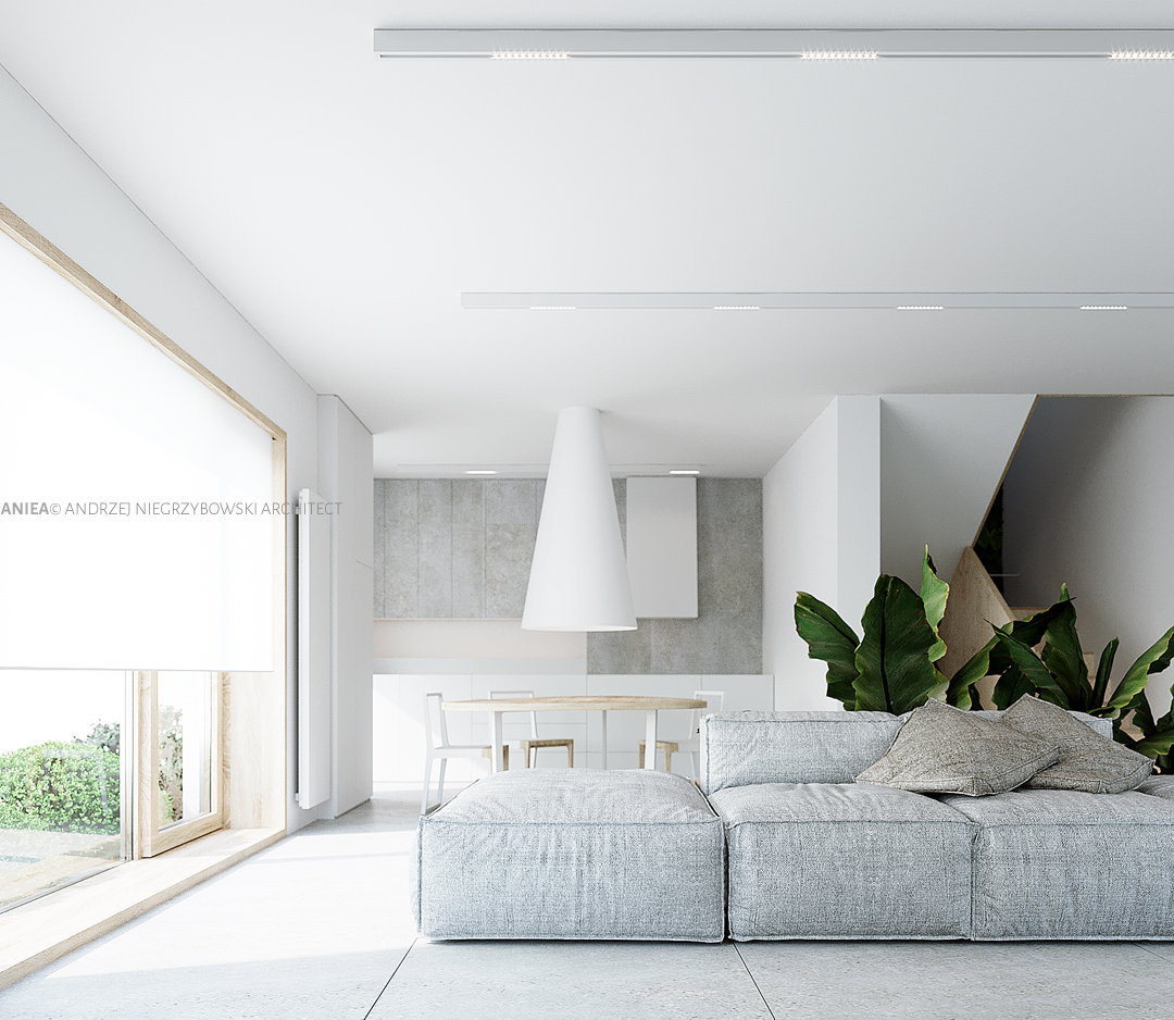 aniea_architect-house-pietro_002