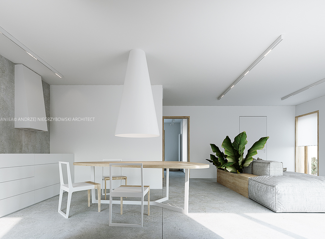 aniea_architect-house-pietro_007