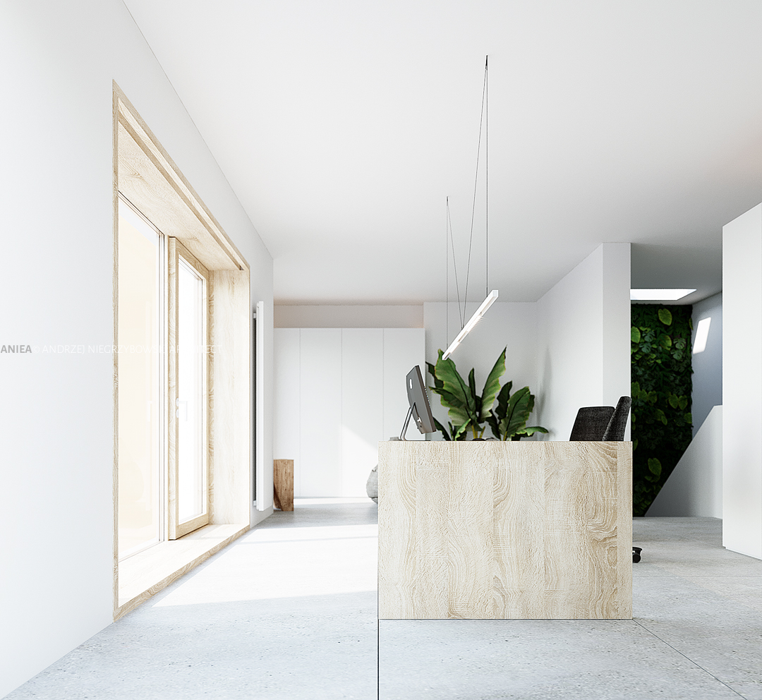 aniea_architect-house-pietro_015