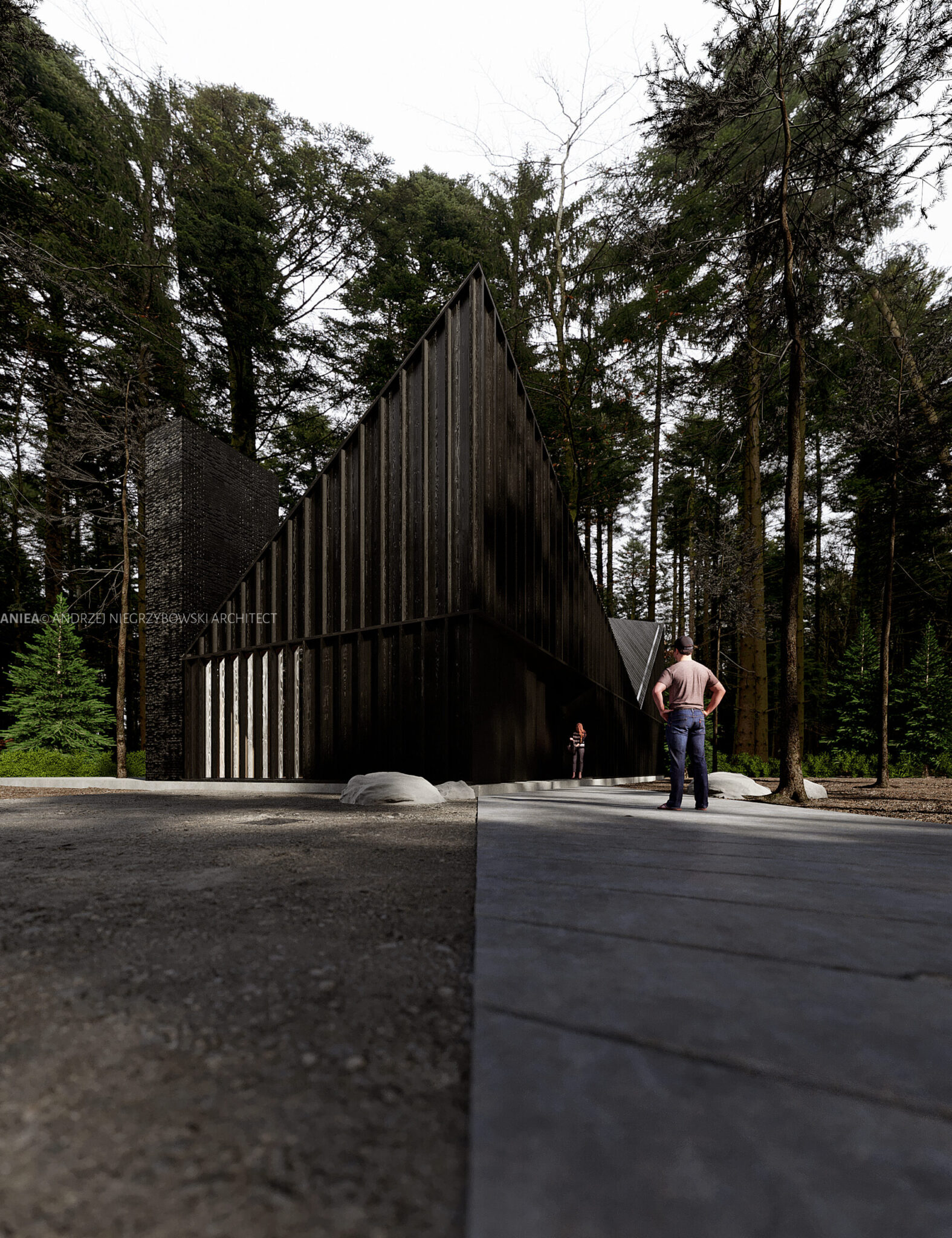 w_lesie_008_0000 w_lesie_008_0000