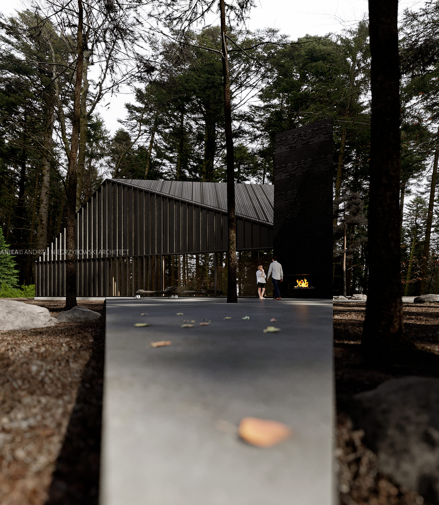 w_lesie_009_0000 w_lesie_009_0000