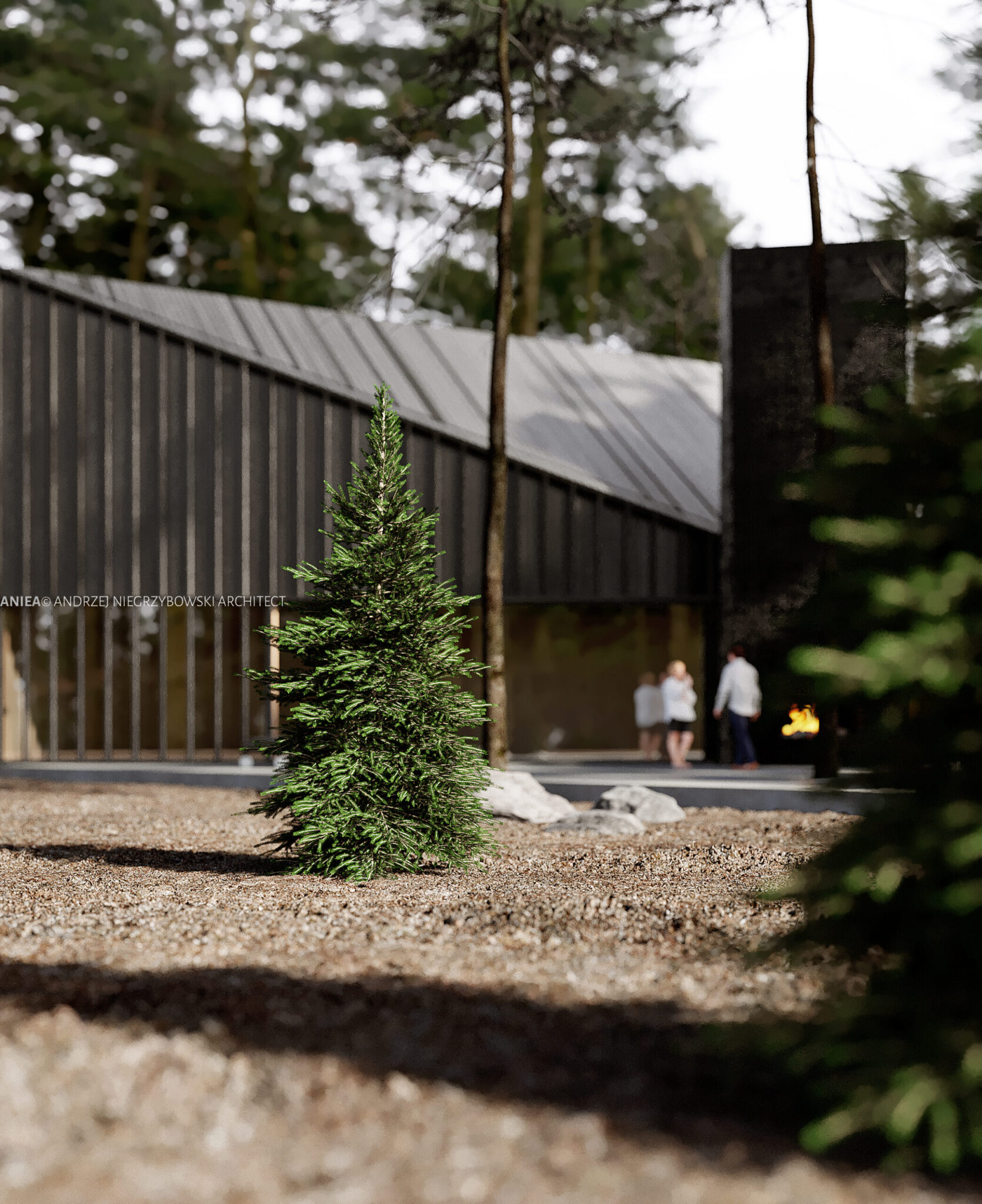 w_lesie_010_0000 w_lesie_010_0000